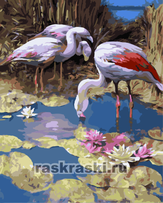 Цветной / Картина по номерам «Фламинго»