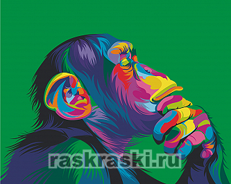 Артвентура / Картина по номерам «Радужная обезьяна Ваю Ромдони»