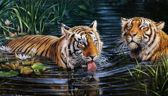 Тигры в воде | Артикул: Ag2569