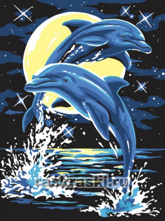 Белоснежка / Картина по номерам «Дельфины»