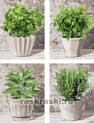 Schipper / ������� �� ������� ������� ����� 4 ��.�