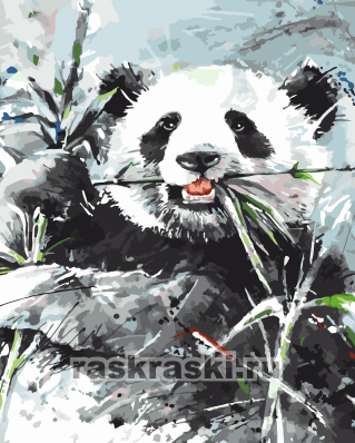 Цветной / Картина по номерам «Панда в траве»