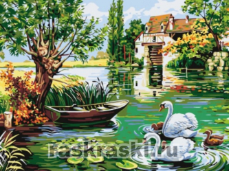 Цветной / Картина по номерам «Лебединое семейство»