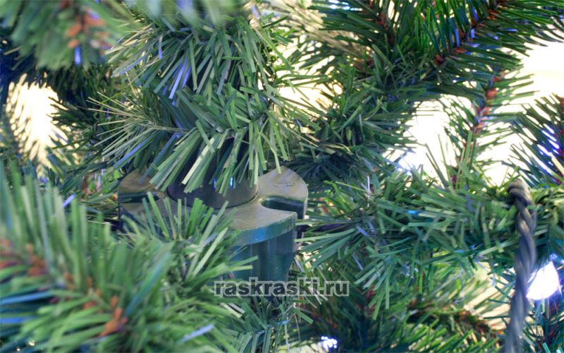   Triumph Tree « » 155 ,  Triumph Tree 73369