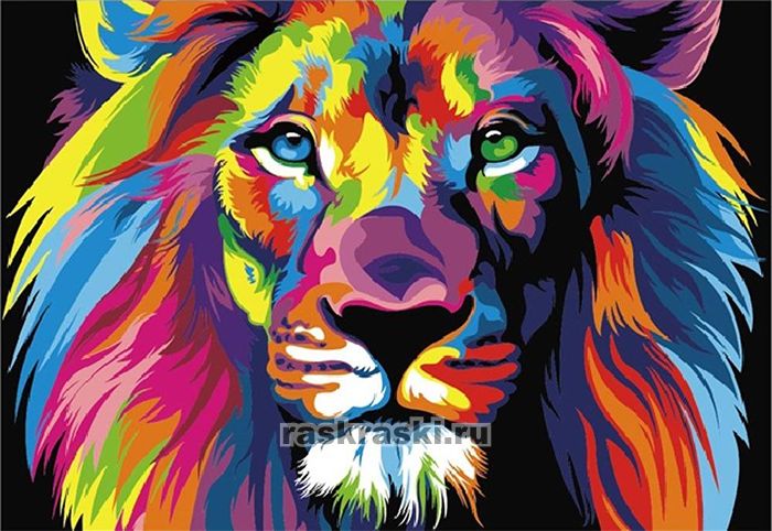 Цветной Премиум / Картина по номерам «Радужный лев» Цветной MG2034