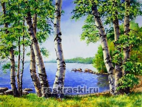 Алмазная Живопись «Березы у озера» Алмазная живопись АЖ-1340