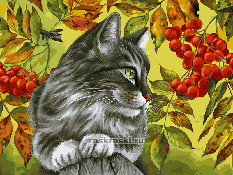 Белоснежка / Картина по номерам «Отдых в ветках рябины» Белоснежка 147-AS