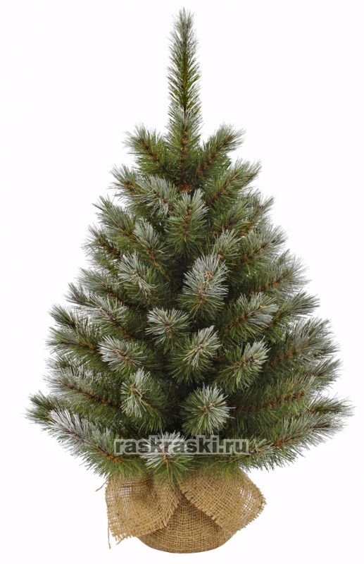   Triumph Tree    , 90  Triumph Tree 73065
