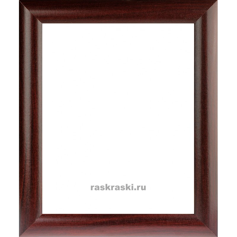  Netta (.) (2025 )  4122-BK