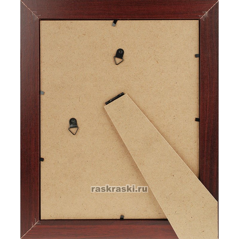  Netta (.) (2025 )  4122-BK