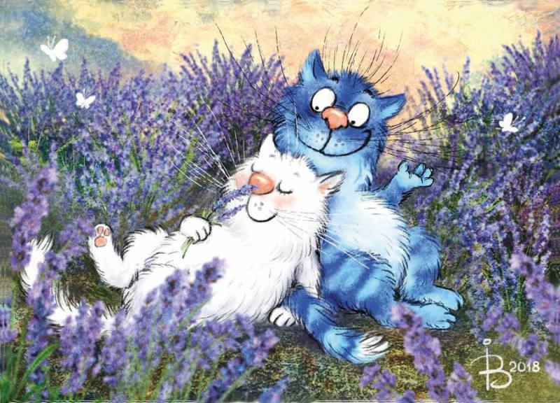 Цветной Премиум / Картина по номерам «Коты в лаванде» Цветной ME1133