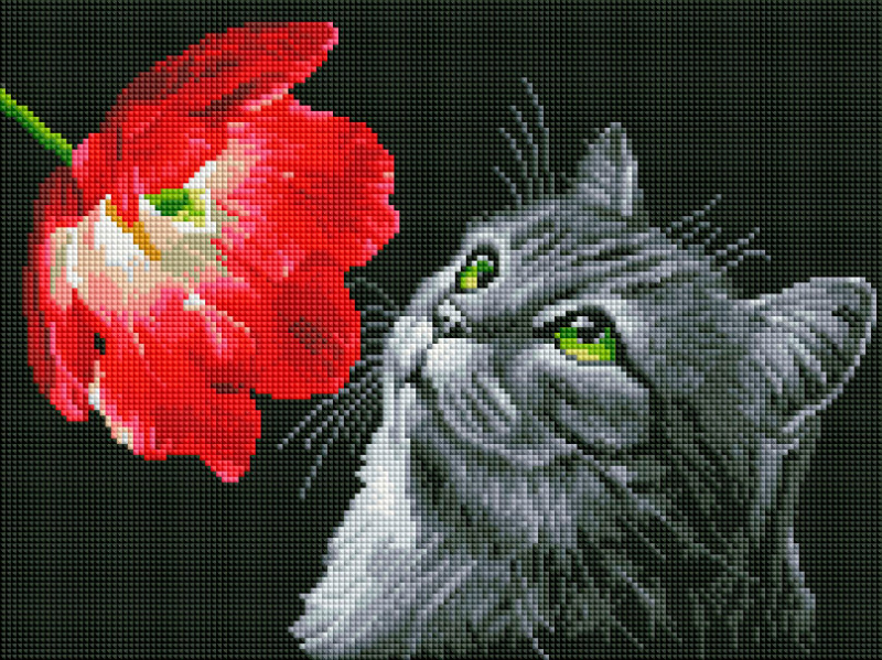 ������� ���������� 910-GT-S