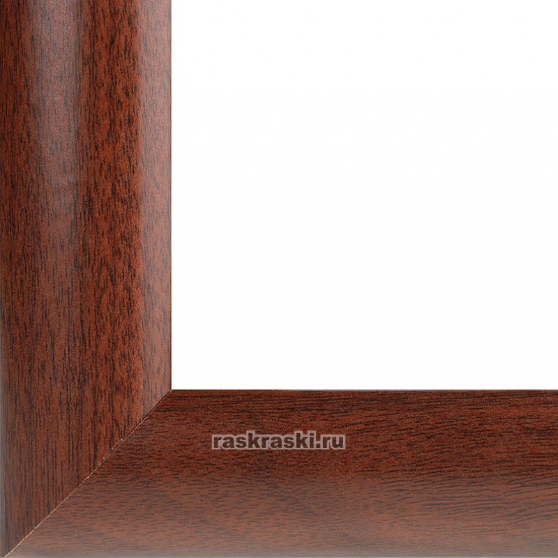  Netta () (2025 )  4124-BK