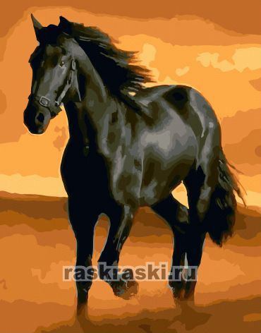 Черный конь — GX32937 50х40 см / Купить картину по номерам Paintboy