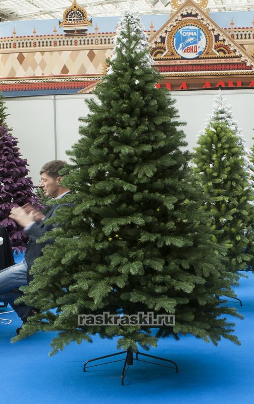    2,4  Max-Christmas  24