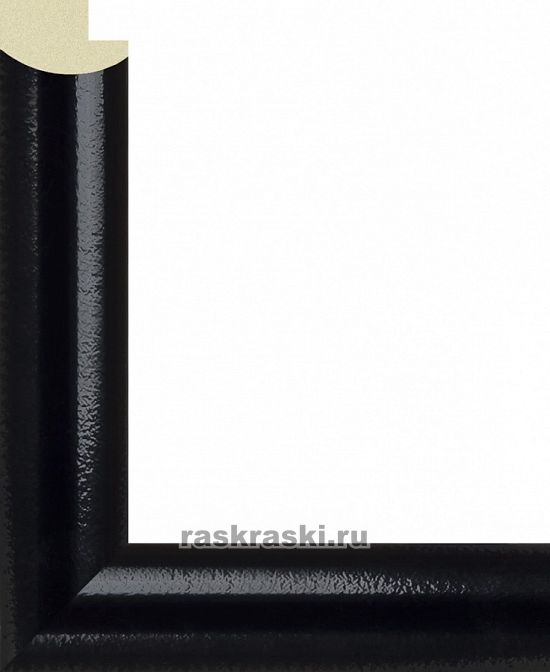      Black   2030/81
