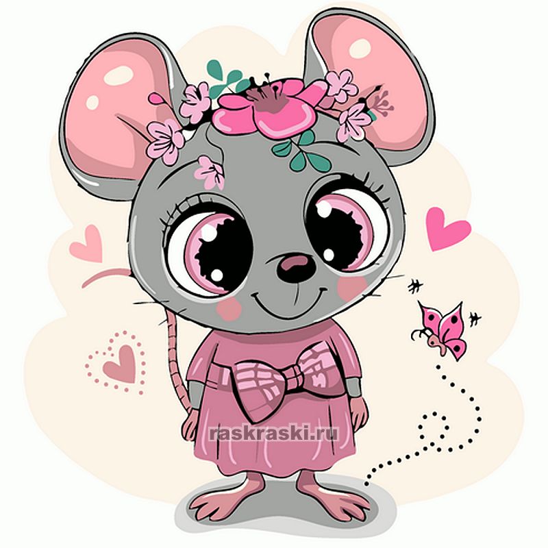 Molly /      Molly KH0913