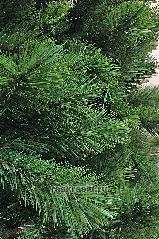    «»  260  Triumph Tree 73994