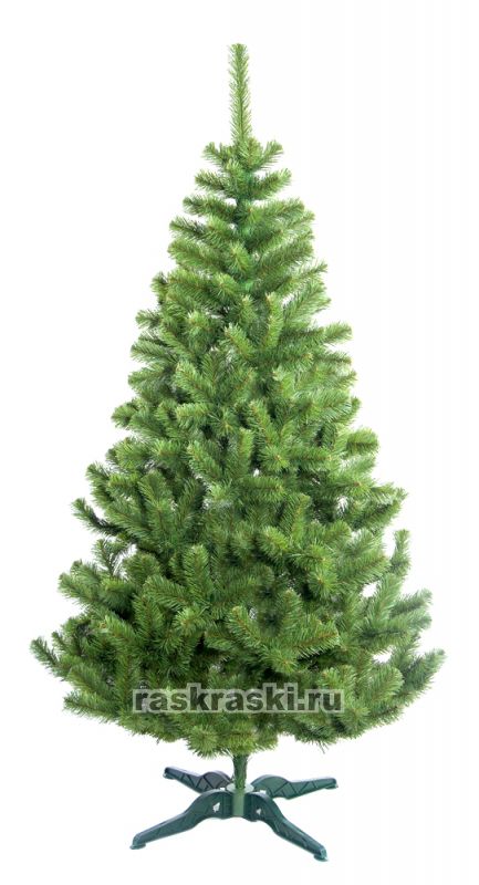    2,4  Max-Christmas  24