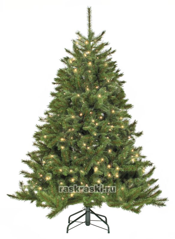   Triumph Tree « »   155 ,  Triumph Tree 73703