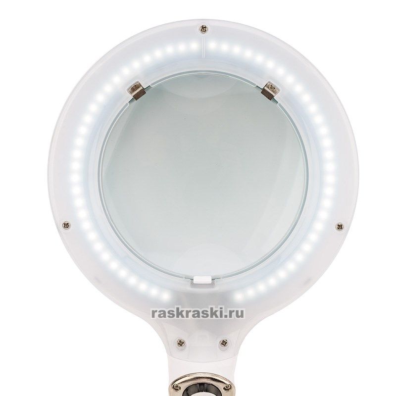   3D   60 LED,   , VISAGISTE,  REXANT Rexant 31-0261