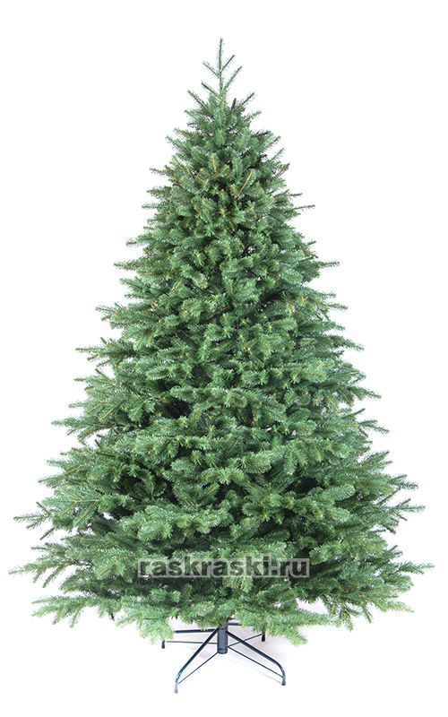    2,4  Max-Christmas  24