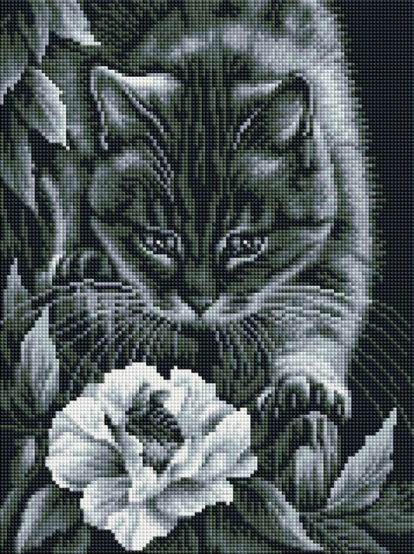 ������ ����������� ���������� 920-GT-S