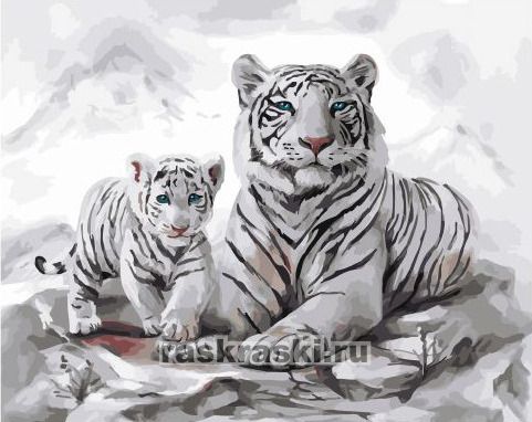Белая тигрица и тигренок — GX32841 40х50 см / Купить картину по номерам  Paintboy