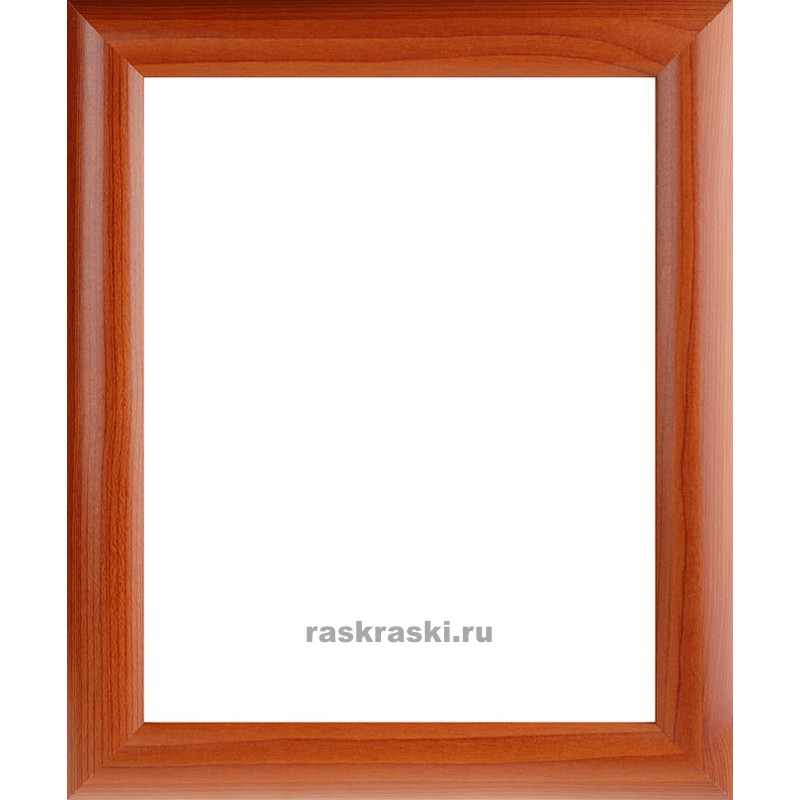  Netta () (2025 )  4123-BK