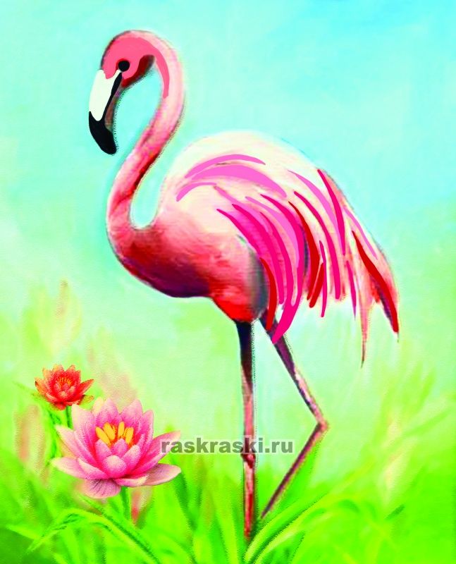 Алмазная картина «Розовый фламинго» Color KIT M013