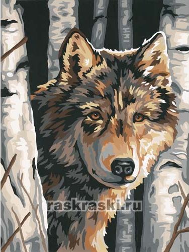 Dimensions / Картина по номерам «Волк среди берез» Dimensions 91325