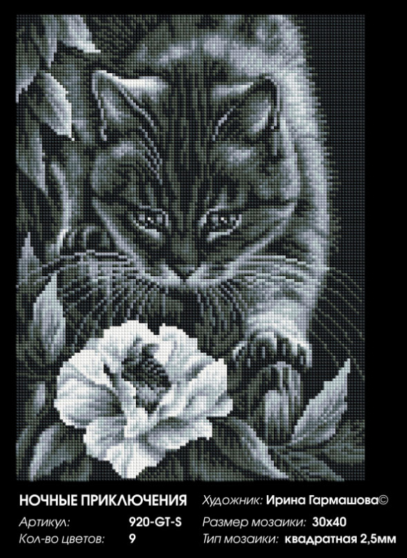 ������ ����������� ���������� 920-GT-S