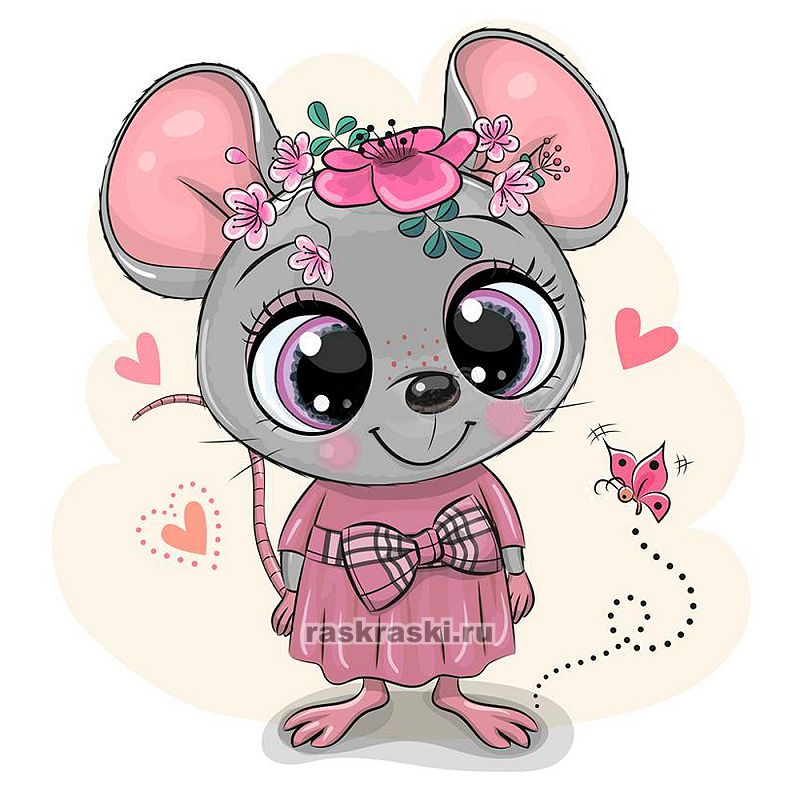 Molly /      Molly KH0913