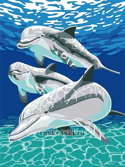 Цветной Премиум / Картина по номерам «Дельфины» Цветной ME092