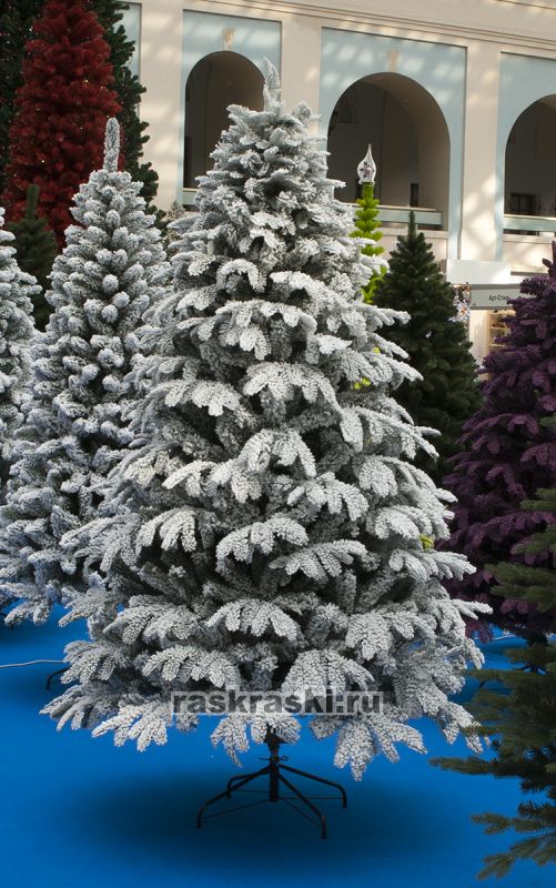 Max-Christmas () /     1,6  Max-Christmas  16