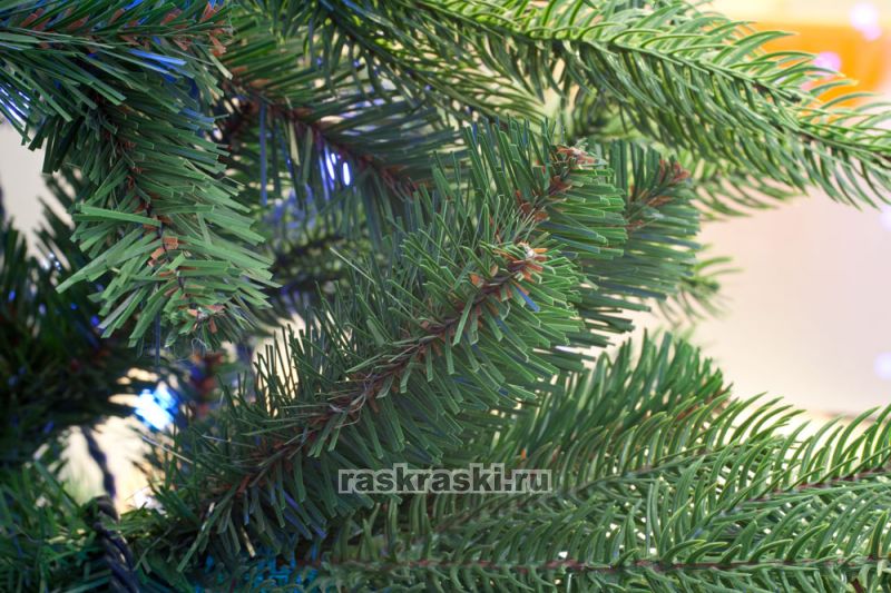   Triumph Tree « » 155 ,  Triumph Tree 73369