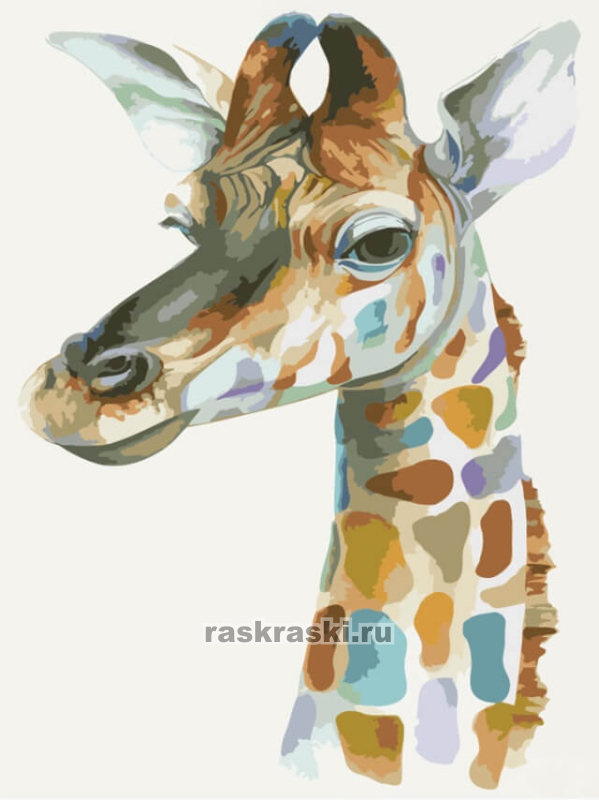 Цветной Премиум / Картина по номерам «Жираф» Цветной ME1003