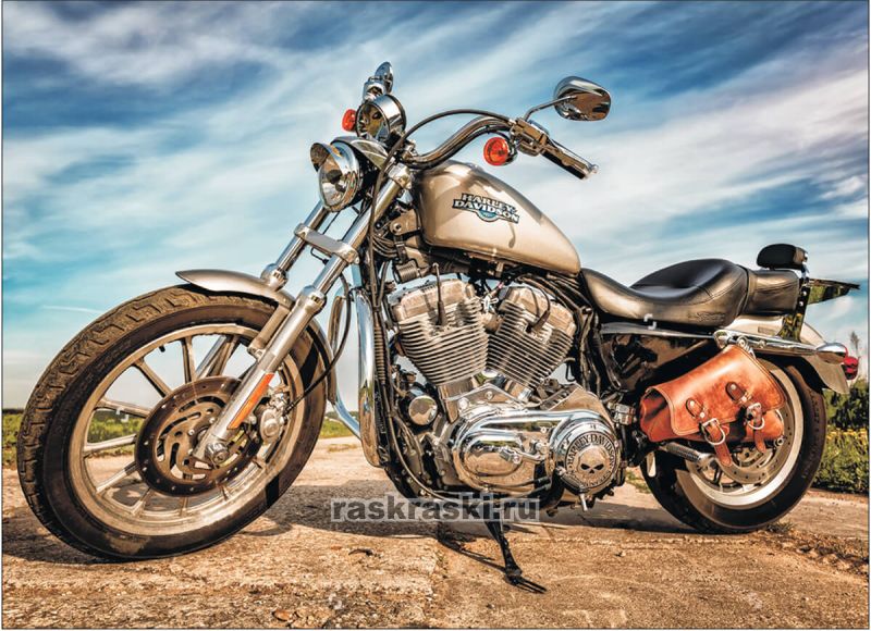 Harley-Davidson Sportster  LG226