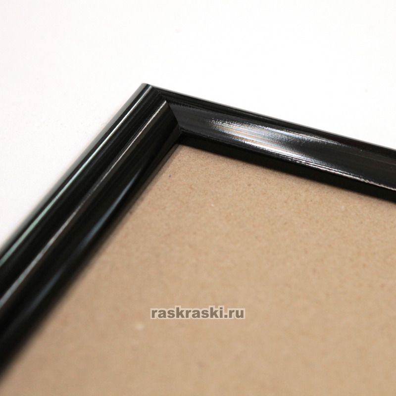      Black   2030/81
