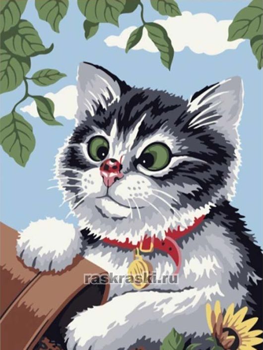 Цветной Премиум / Картина по номерам «Любопытный котенок» Цветной ME085