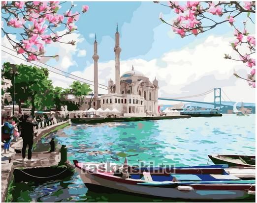 Прекрасный Стамбул — GX38070 40х50 см / Купить картину по номерам Paintboy