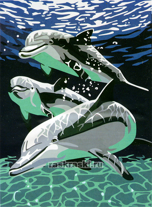 Цветной Премиум / Картина по номерам «Дельфины» Цветной ME092