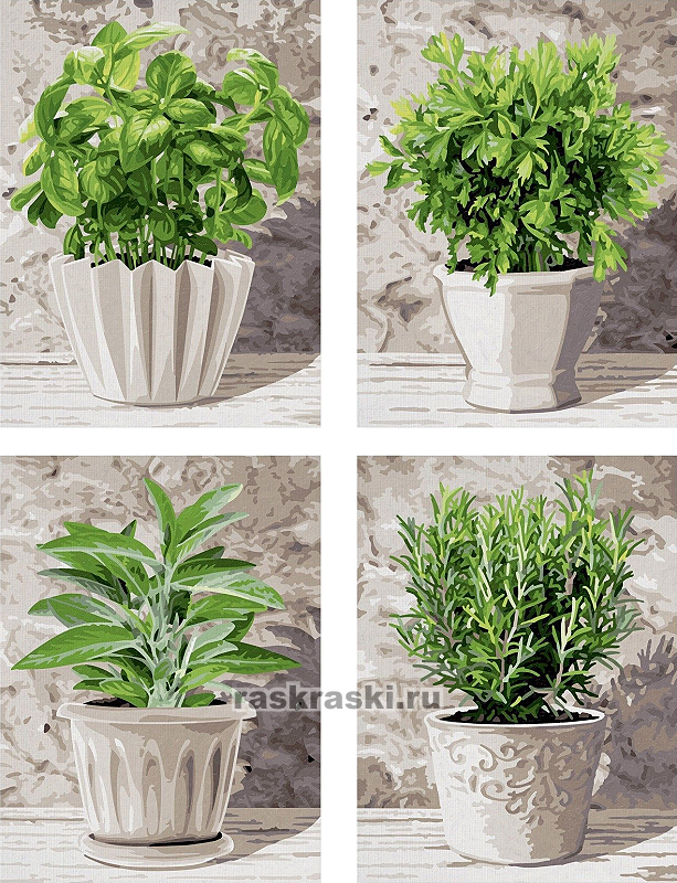 Schipper / ������� �� ������� ������� ����� 4 ��.� Schipper 9340687