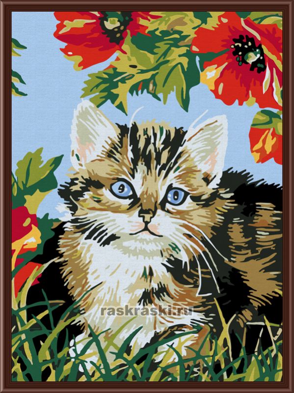 Color Kit / Картина по номерам «Котенок в цветах» Color KIT CE009