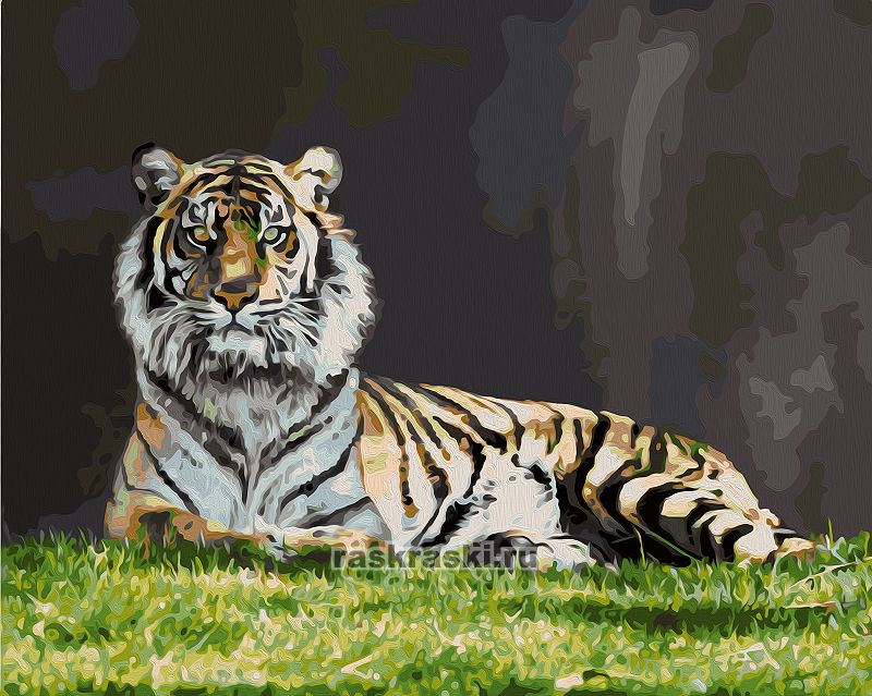  /       02ART40500620