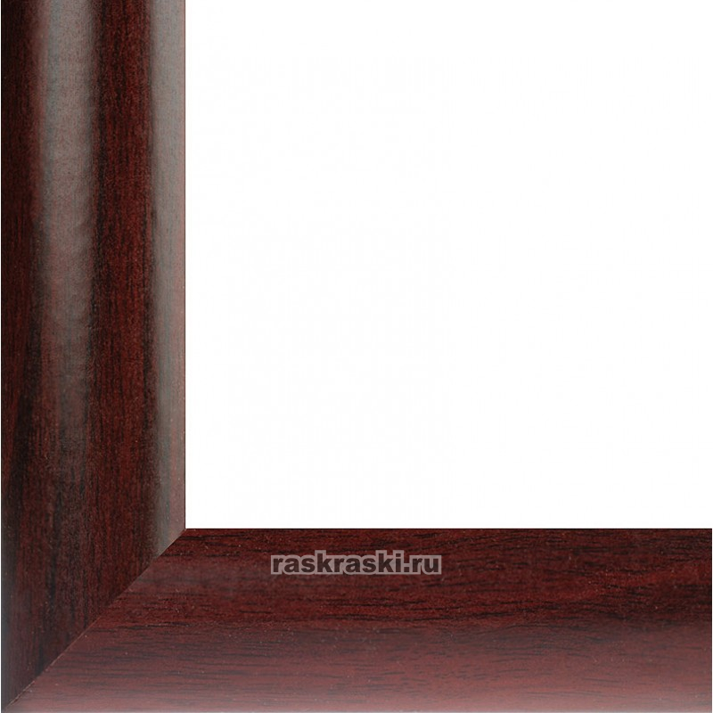  Netta (.) (2025 )  4122-BK