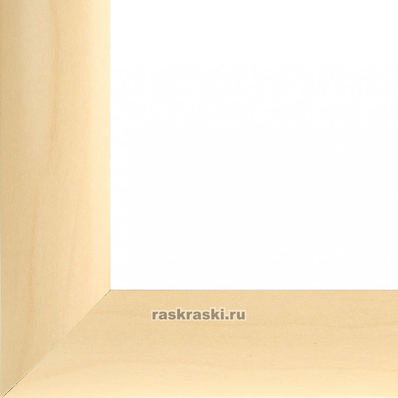  Netta () (2025 )  4127-BK