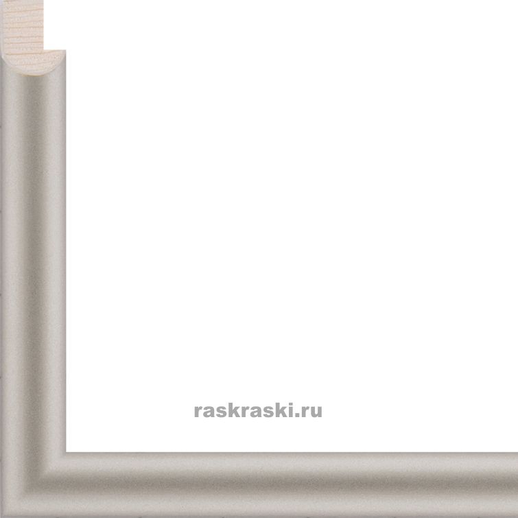 Рамки 60 100 Купить