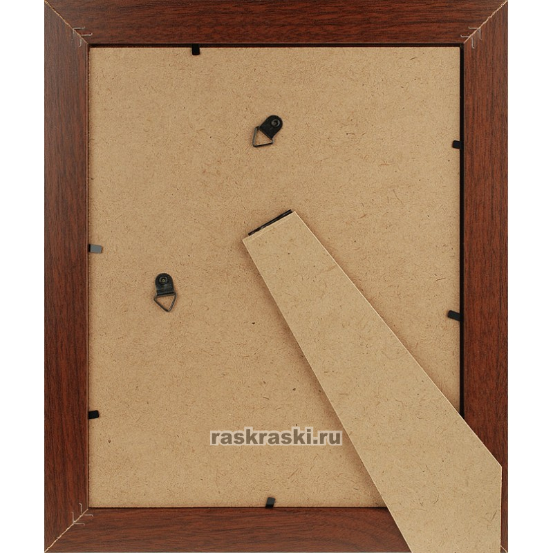  Netta () (2025 )  4124-BK