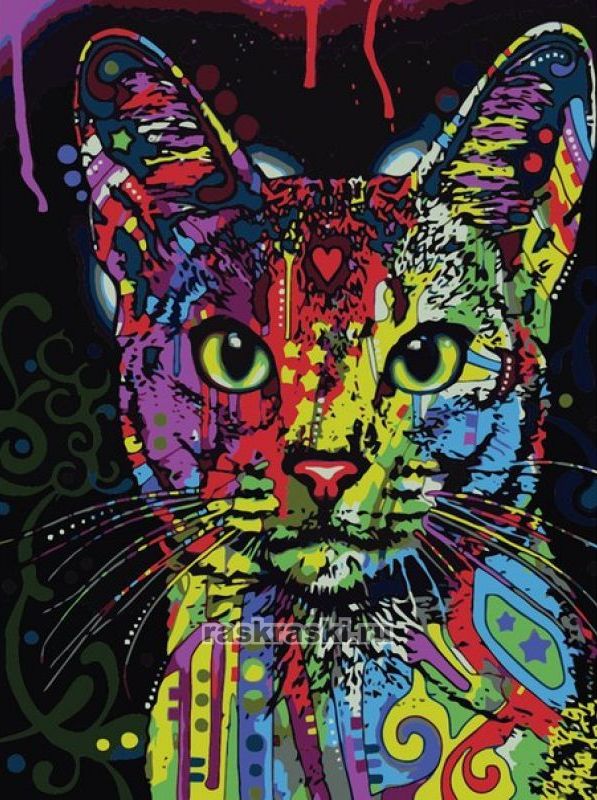 Цветной Премиум / Картина по номерам «Кошка поп-арт» Цветной ME1006